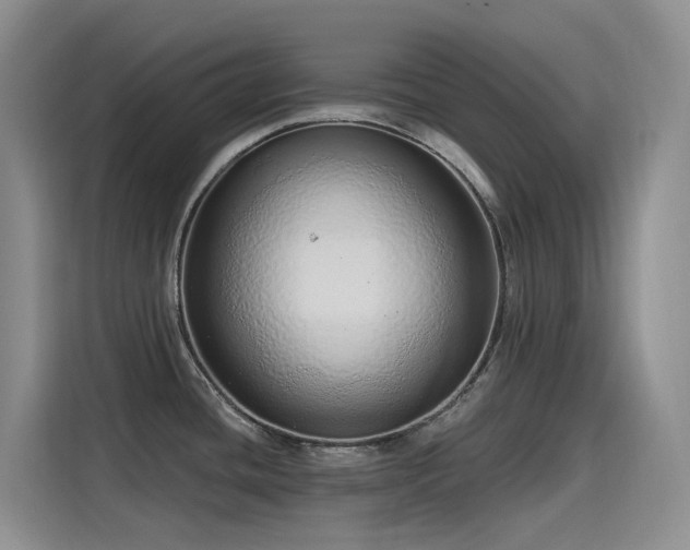 X0000115631436200911171327