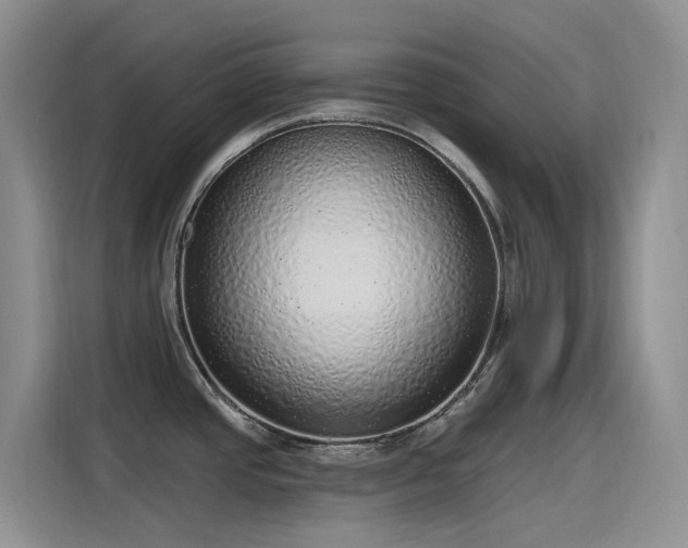 X0000115631437200911171327