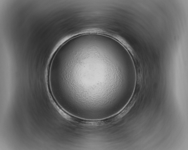 X0000115631438200911171327