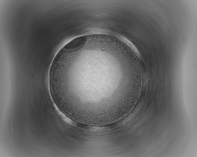 X0000115631439200911171327