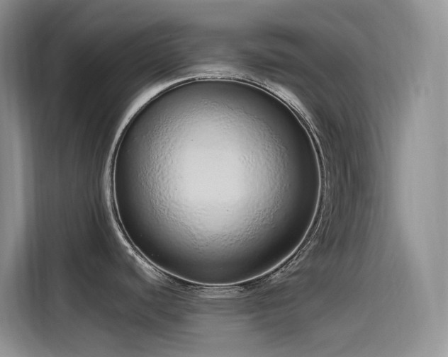 X0000115631440200911171327
