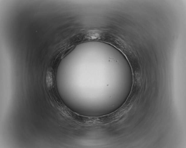 X0000115631442200911171326