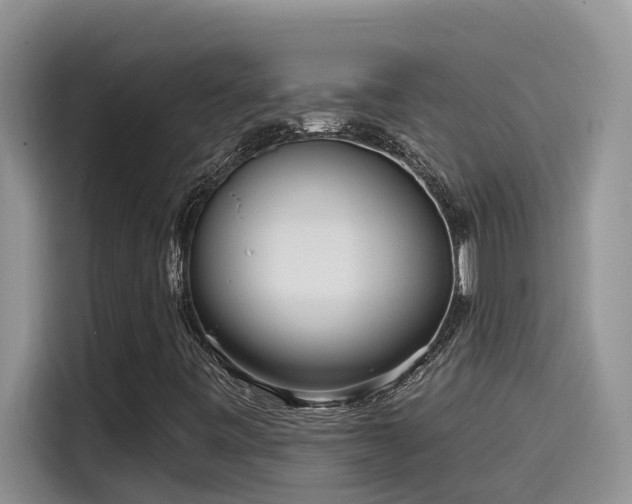 X0000115631443200911171326