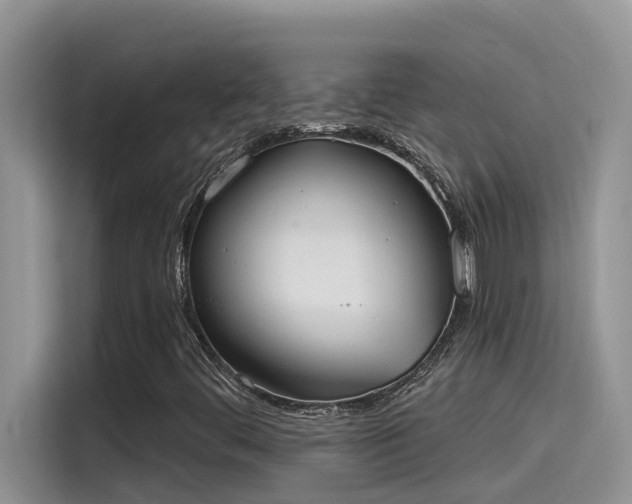 X0000115631444200911171326