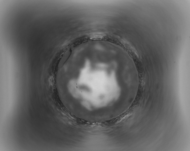 X0000115631445200911171326