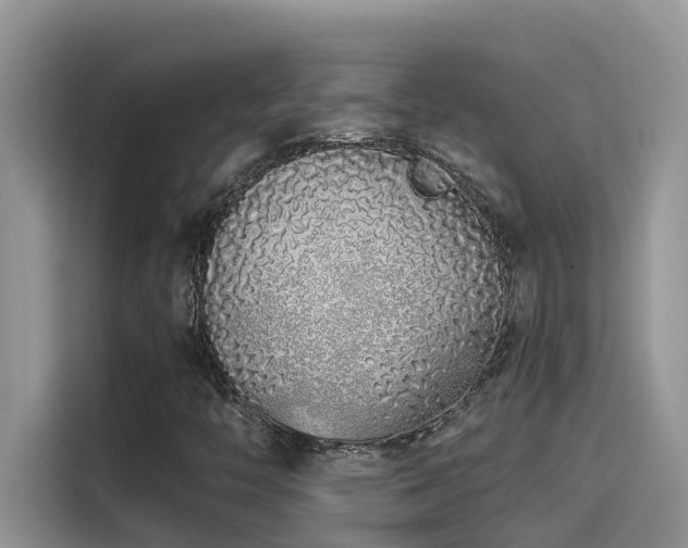 X0000115631446200911171326