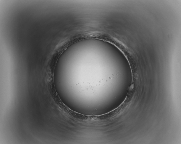 X0000115631447200911171326