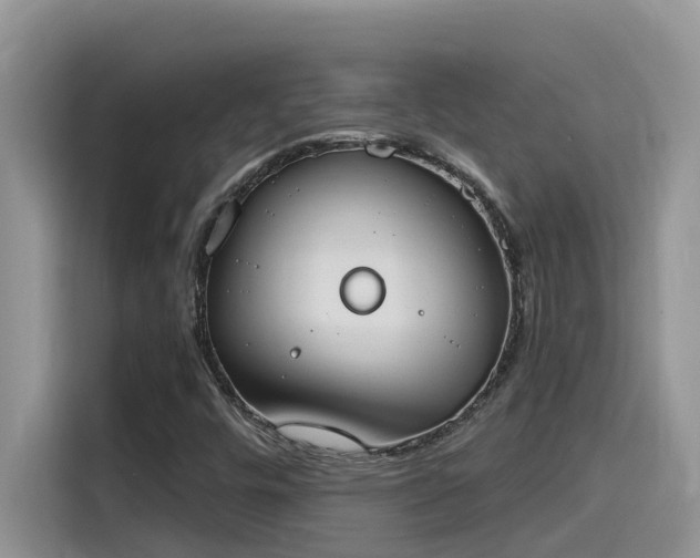 X0000115631448200911171326