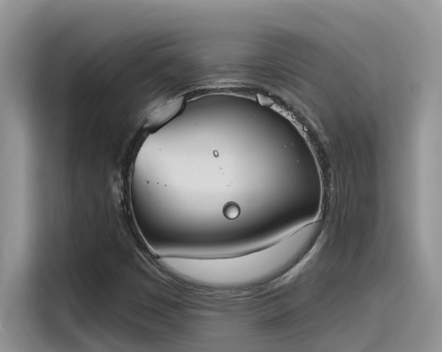 X0000115631449200911171326