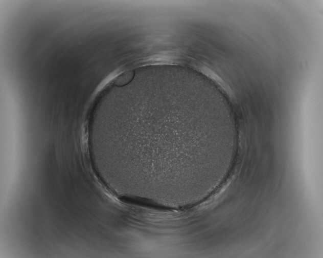 X0000115631450200911171326