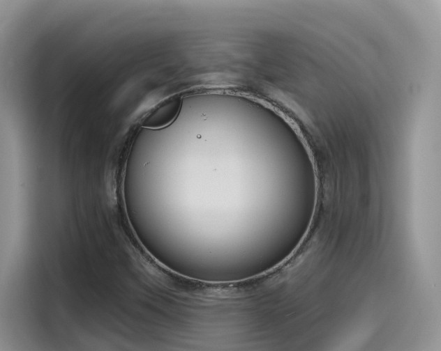 X0000115631451200911171326