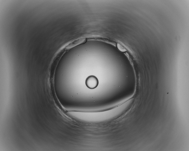 X0000115631452200911171326