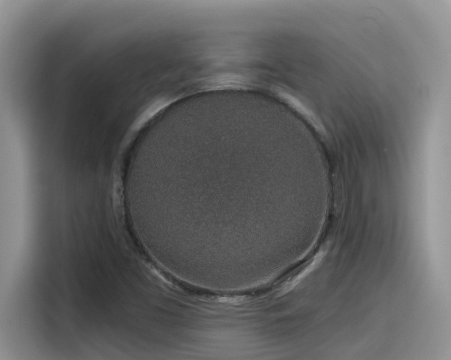 X0000115631453200911171326