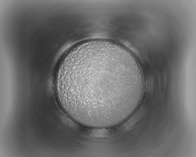 X0000115631454200911171326