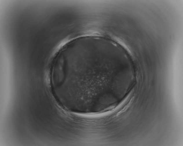 X0000115631455200911171326