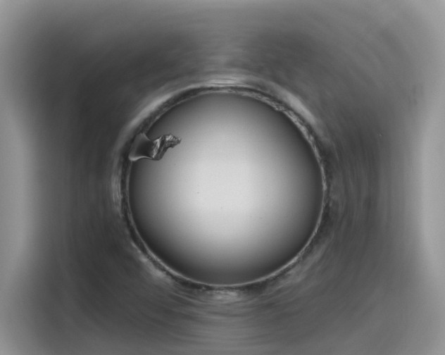 X0000115631456200911171326