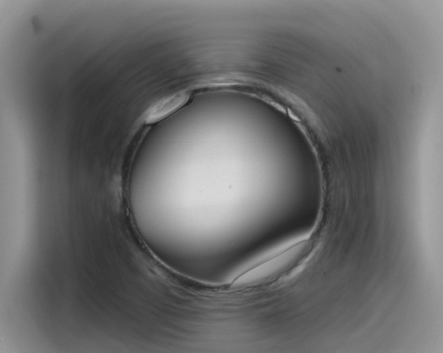 X0000115631457200911171326