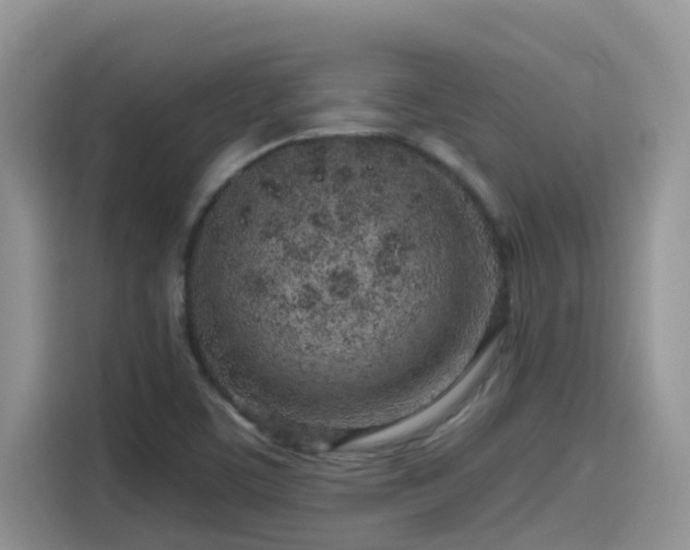 X0000115631459200911171326