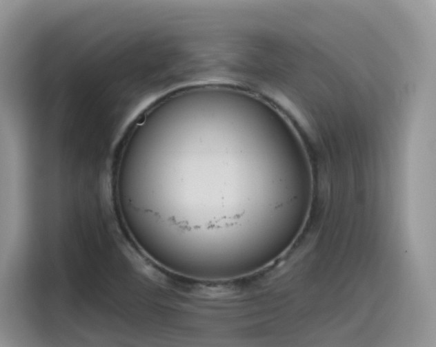 X0000115631460200911171326
