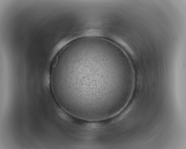 X0000115631461200911171326