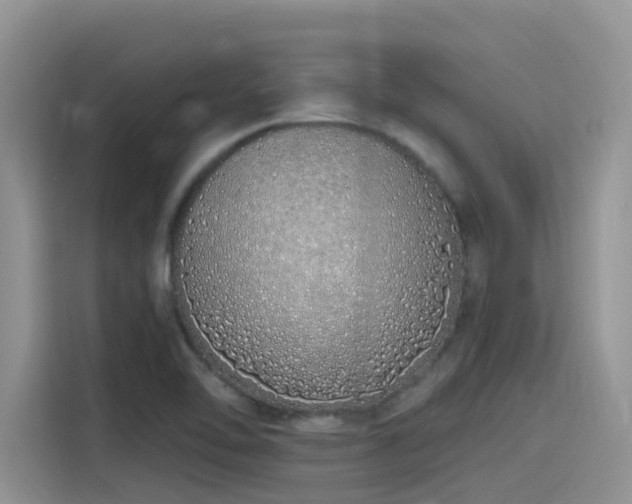 X0000115631462200911171326