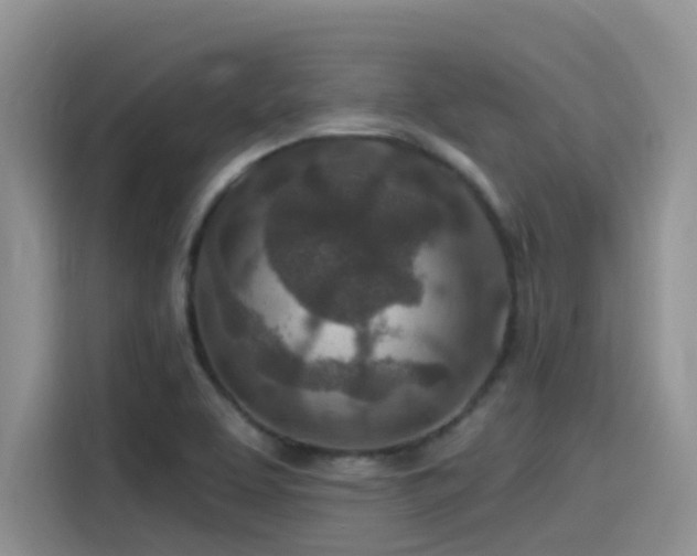 X0000115631463200911171326
