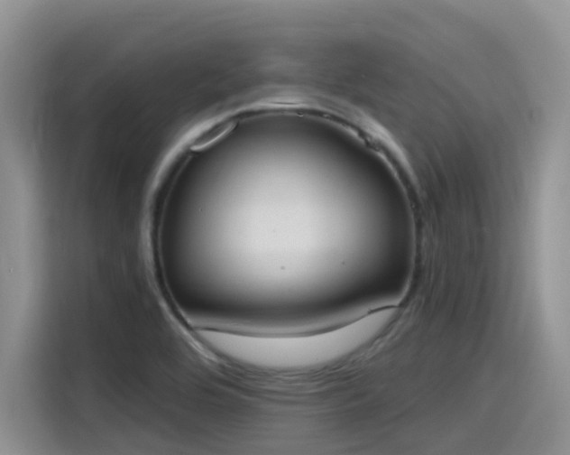 X0000115631464200911171326