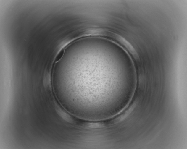 X0000115631465200911171326
