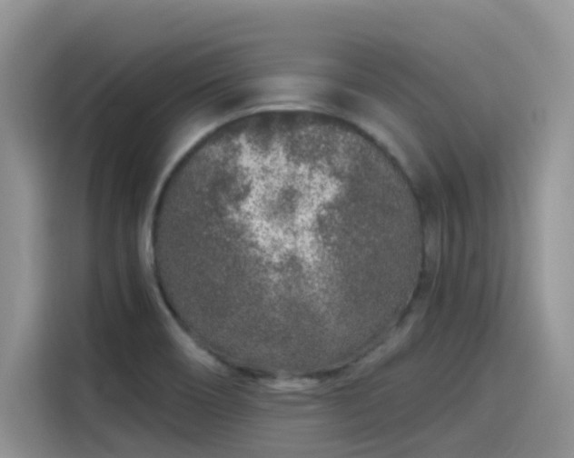 X0000115631466200911171326
