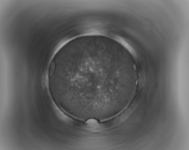X0000115631468200911171326
