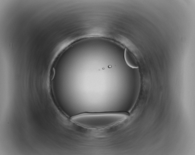 X0000115631469200911171326