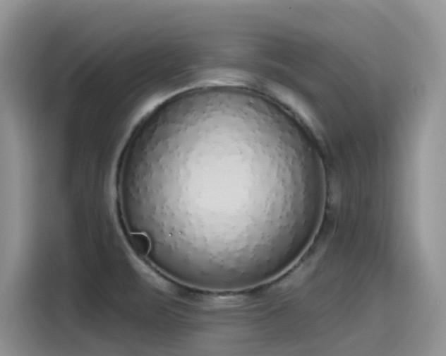 X0000115631471200911171326