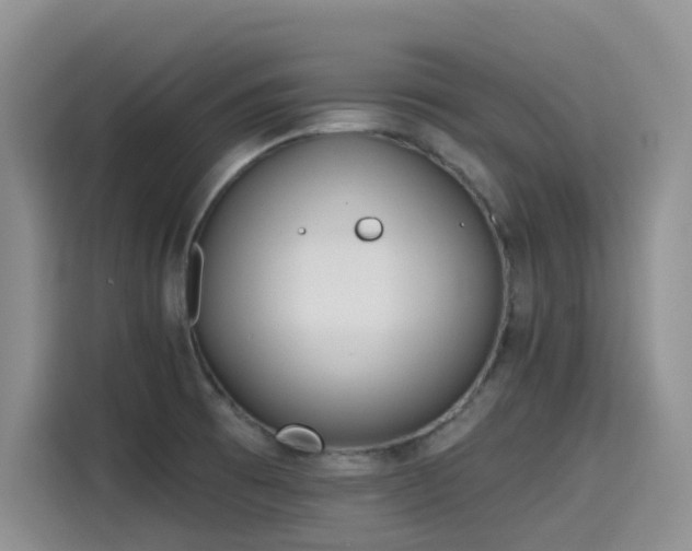 X0000115631473200911171326