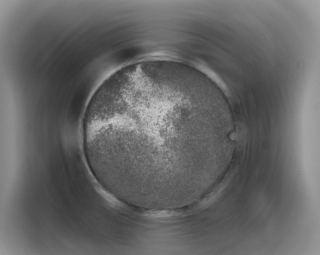X0000115631474200911171326