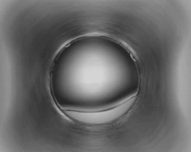 X0000115631476200911171326