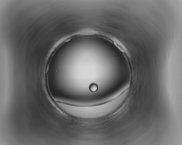 X0000115631477200911171326