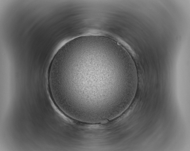 X0000115631479200911171326