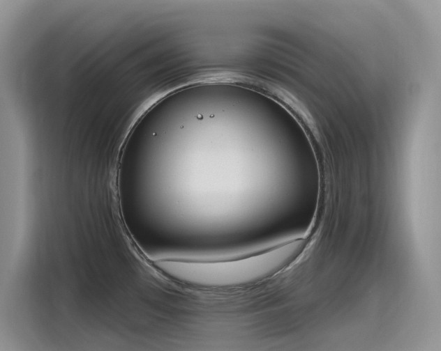 X0000115631481200911171326