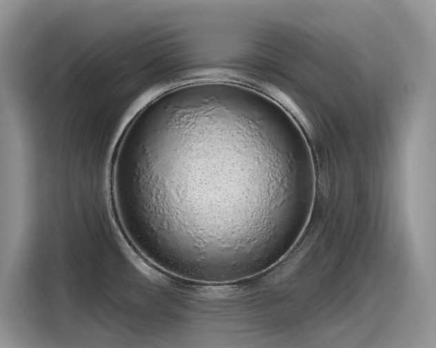 X0000115631482200911171326