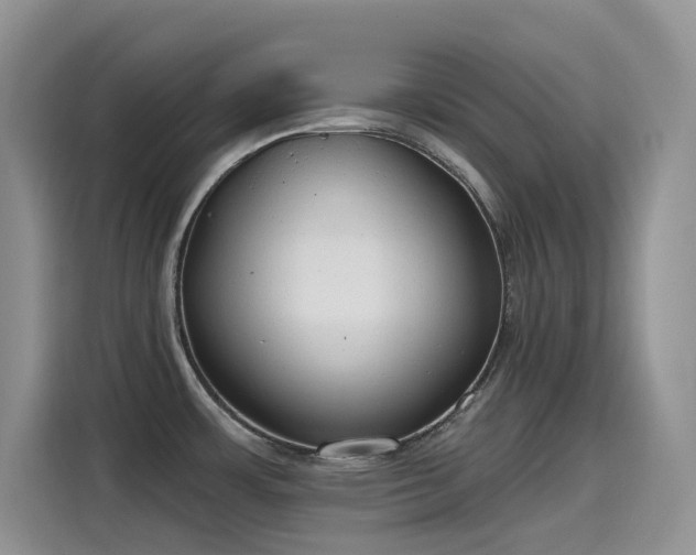 X0000115631483200911171326
