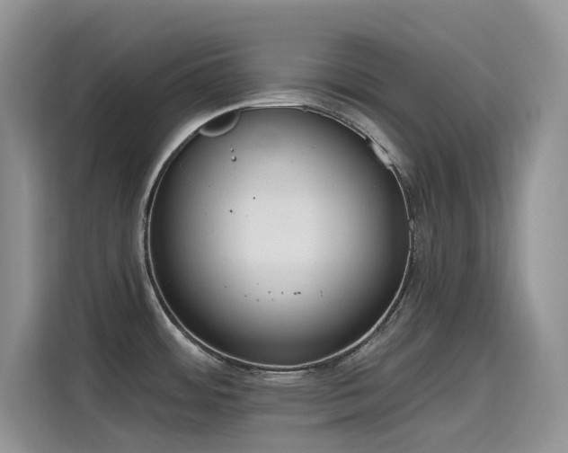 X0000115631484200911171326