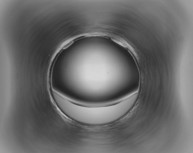 X0000115631485200911171326