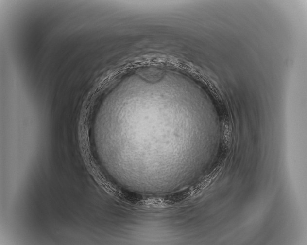 X0000115631489200911171325
