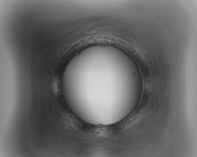 X0000115631490200911171325