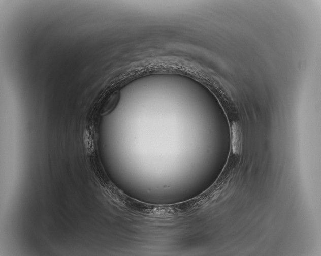X0000115631491200911171325