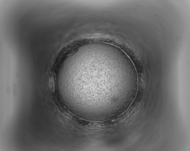 X0000115631493200911171325
