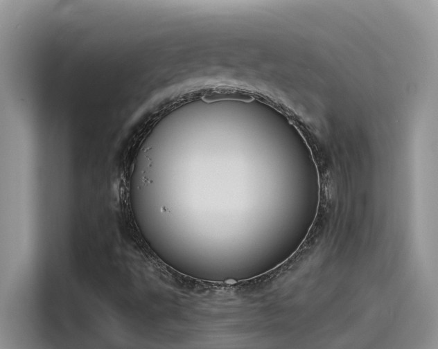 X0000115631495200911171325