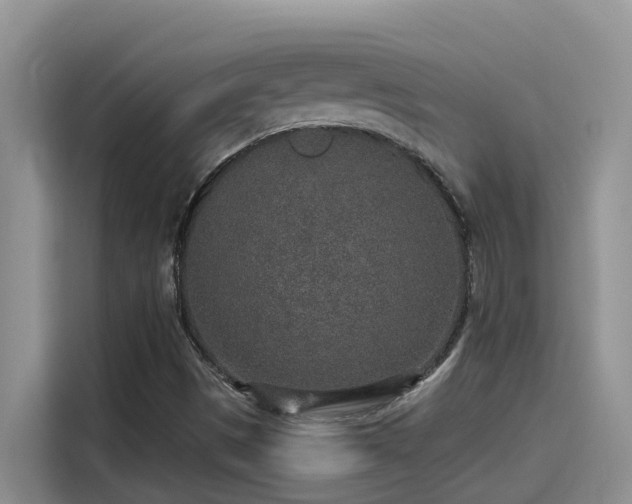 X0000115631497200911171325