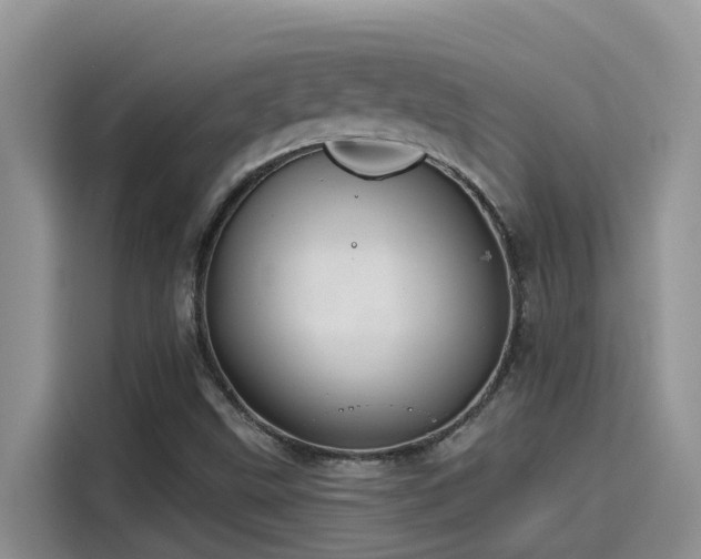 X0000115631499200911171325