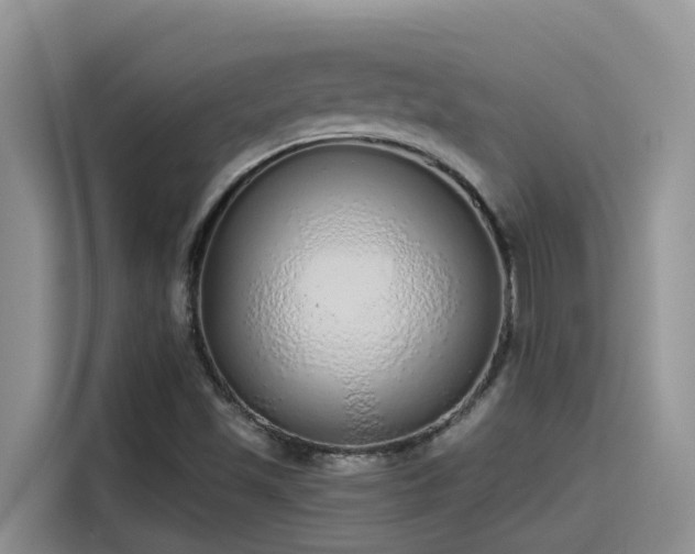 X0000115631501200911171325